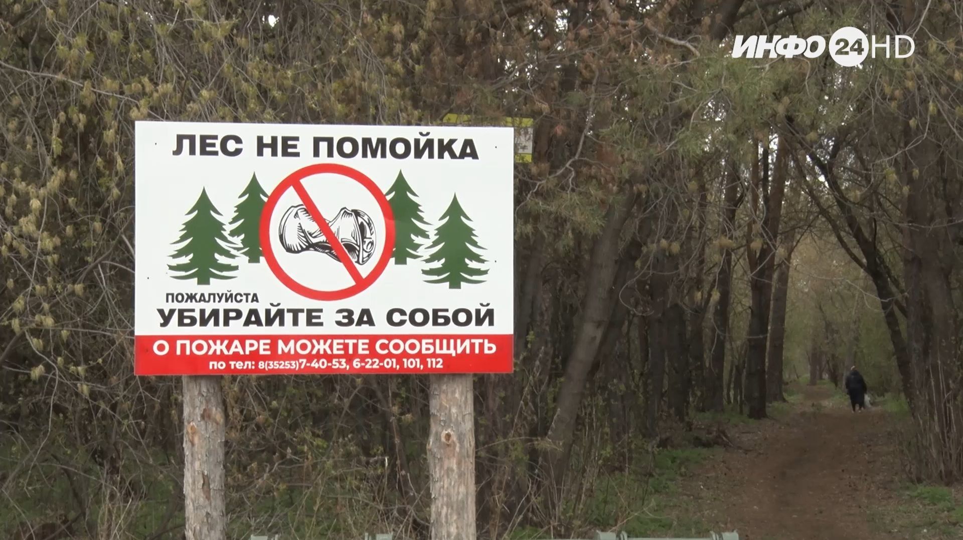 Администрация Шадринска организовала Всероссийский субботник в городском сосновом бору