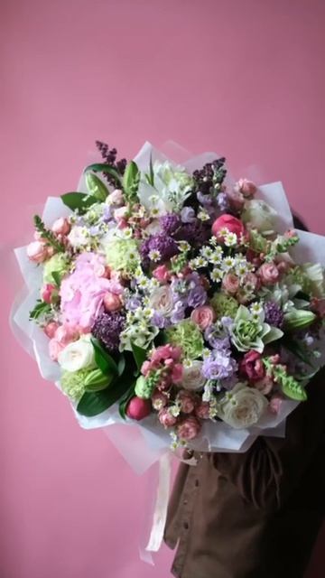 Пурпур головинсокое IMG_5963