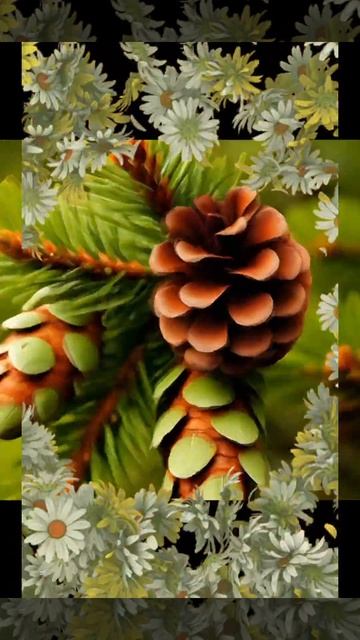 С праздником  1 мая, товарищи!!!!