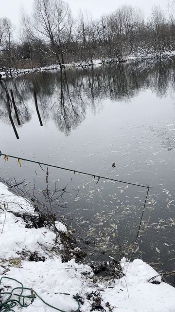 #металлоискатель #metaldetecting #поискмонет #шурф #старина