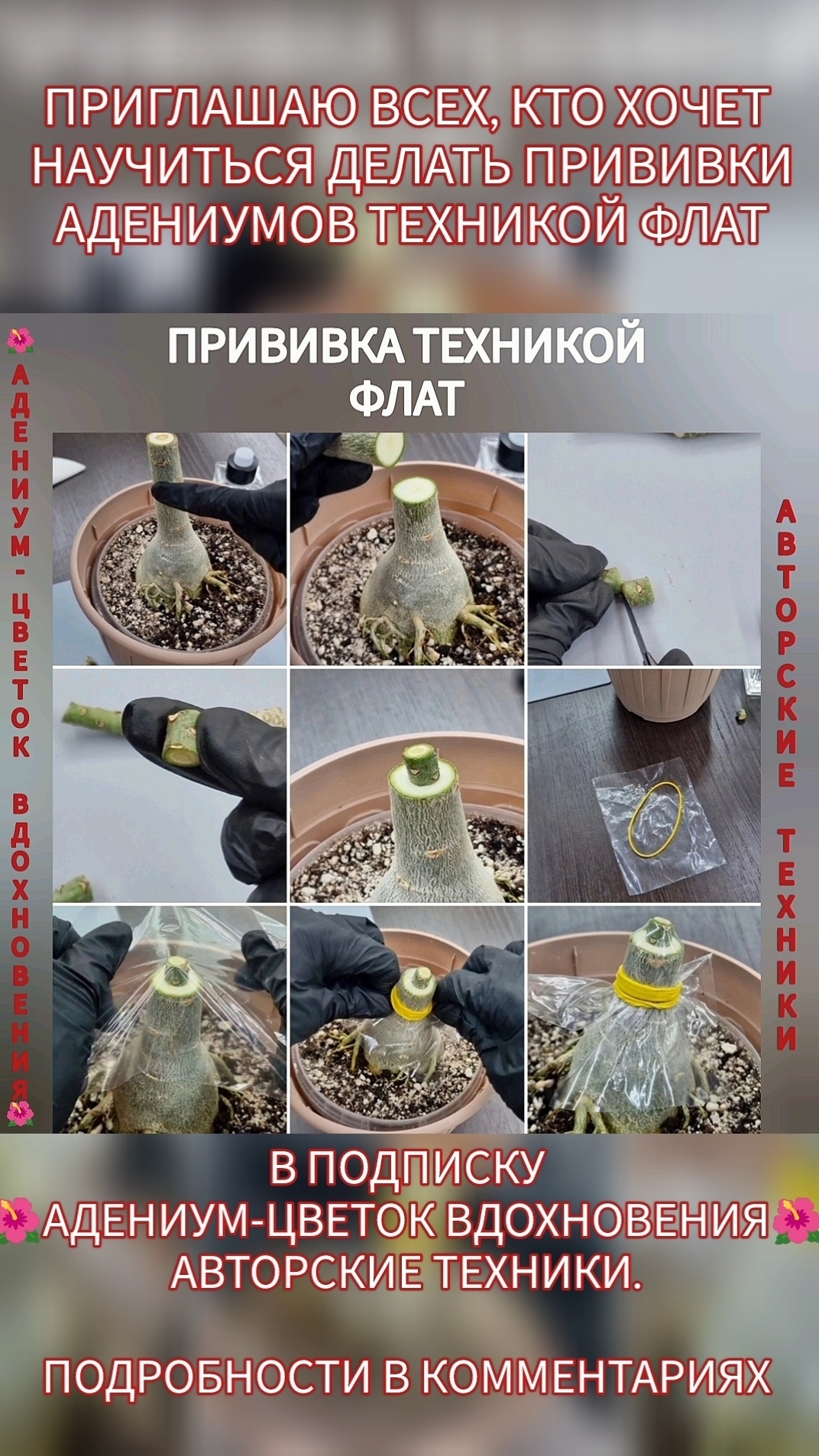 Подробности в комментариях