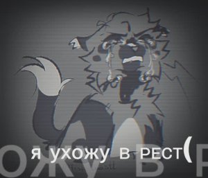 ʙᴄᴇʍ до ᴄᴋоᴩых ʙᴄᴛᴩᴇч и удᴀчи ʙᴀʍ ʍои зᴀйᴋи!!!ну дᴀ я оᴛᴧичницᴀ и ᴄᴛᴀᴩоᴄᴛᴀ,ну я нᴇ зᴀнудᴀ,и ϶ᴛо ᴩиᴧ)