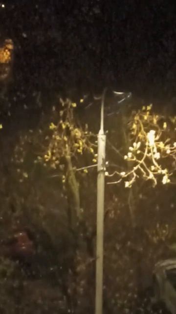 ЗИМА ВОЗВРАЩАЕТСЯ