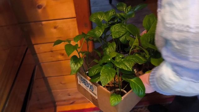 Хорошо когда есть кому отдать.