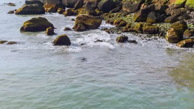 УСПОКАИВАЮЩАЯ МУЗЫКА