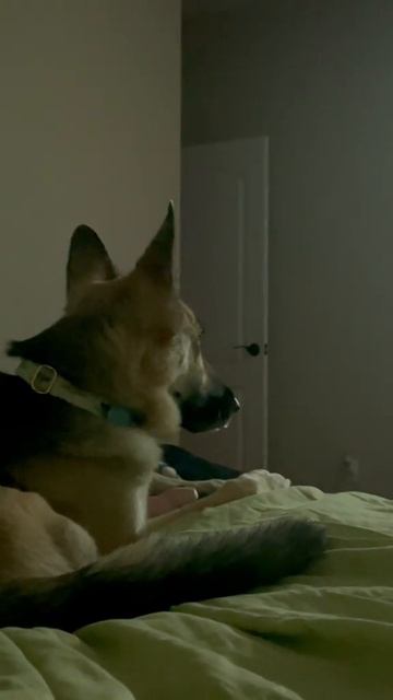 Video_2026-03-09_17-24-06