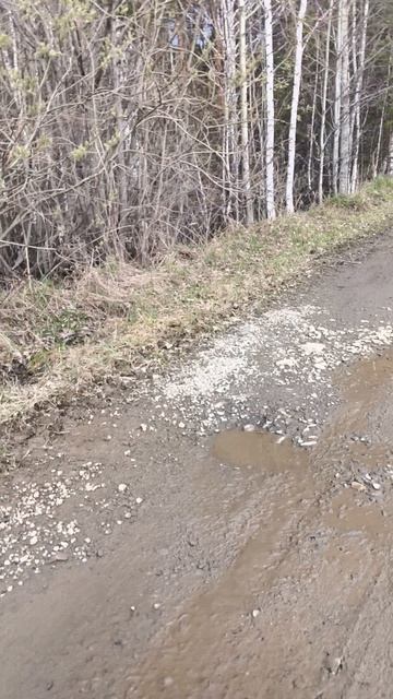 паркур 2-часть