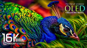 Сочные краски природы для расслабления