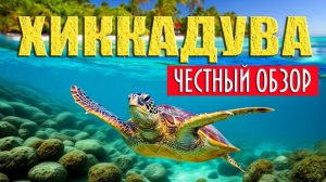 Хиккадува. Честный обзор. Что лучше Хиккадува или Унаватуна. Шри-ланка.#отпусксбмв