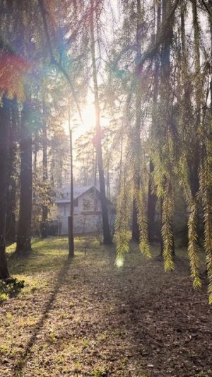 🏡 ИСТОРИЧЕСКАЯ ДАЧА В КРАТОВО. 26 СОТОК СОСНОВОГО РАЯ. ДОМ 246,6 м²