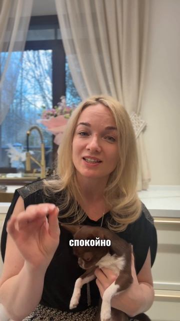 Как легально пополнить счет компании