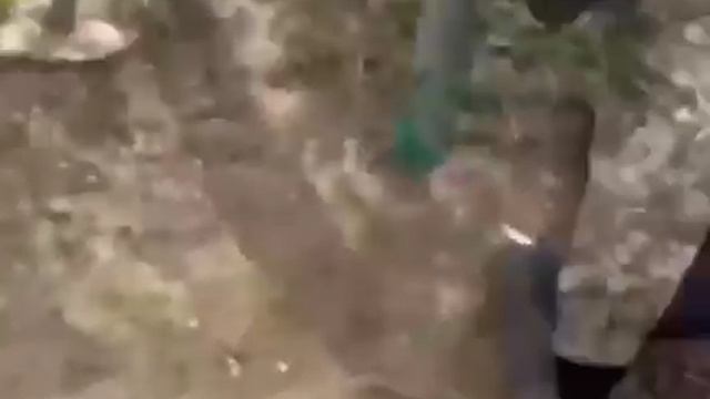 Отпустите! У него бронь! Бронь на Украине отменяется. Всех в обезьянник! Пока не дадут карателям З