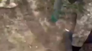 Отпустите! У него бронь! Бронь на Украине отменяется. Всех в обезьянник! Пока не дадут карателям З