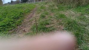 Сдвоенный ЭС2ГП Москва Санкт Петербург