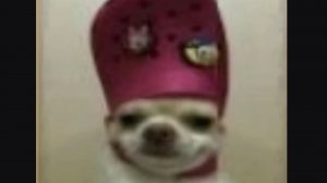 кто такая иди?