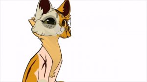 Вот вам жрака. #тренд.