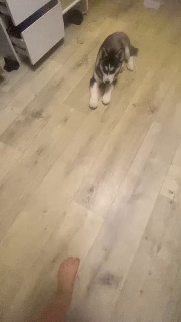 Copy_C65B4B85-F322-4DEF-9D1C-15326B427CC1