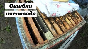 Ошибки пчеловода.