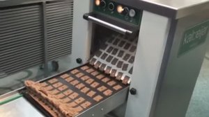 Машина для производства печенья - SHELDEM