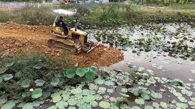 Perfectly Started New Project!5T DumpTruck Pouring Land Delete Pond,Skillful Dozer D21P Pushing Soil