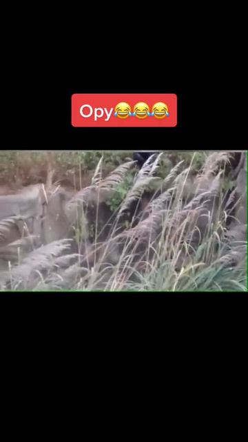 Ivankhodyrev2217 - 7012390324043631873