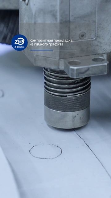 Армированная композитная прокладка из гибкого графит-ZHENGHAI SEAL-2