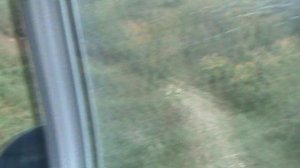 214)й КАНАТКА ГОРКИ ГОРОД МАМА И ВИОЛЕТТА