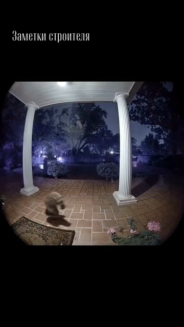 Видео от МЕТЕОР