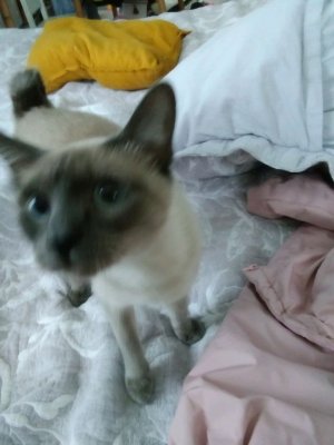 Ярослава снова рисует ☺️ а ещё я умоляю вас поставьте лайк и подпишитесь на канал 🥺🙏