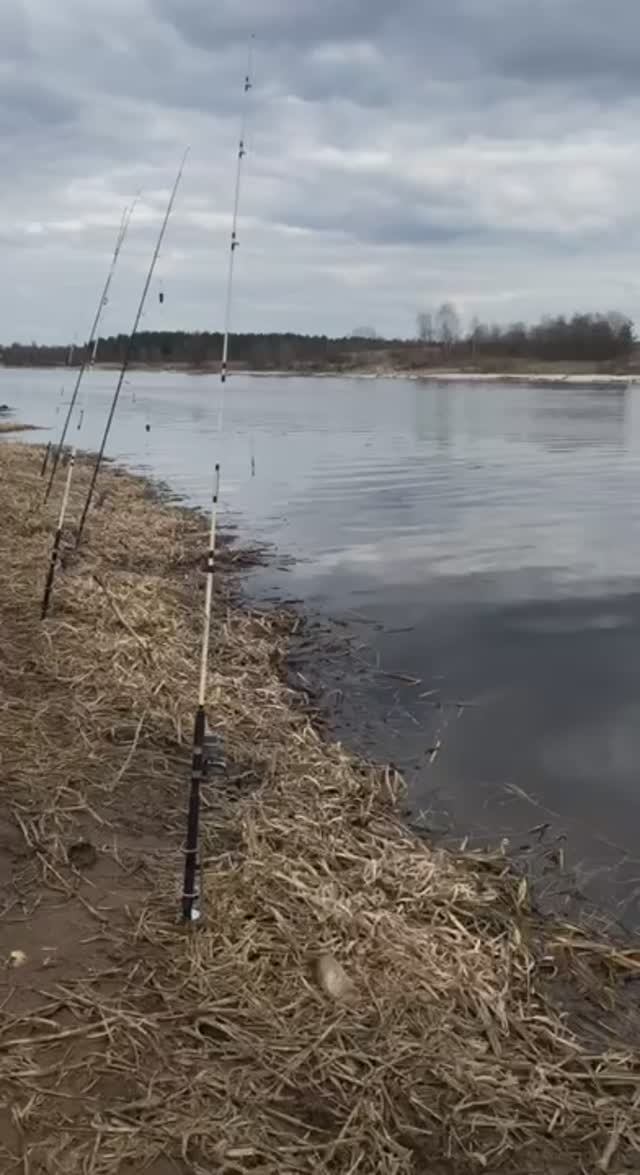 Итоги рыбалки на реке Нерль
