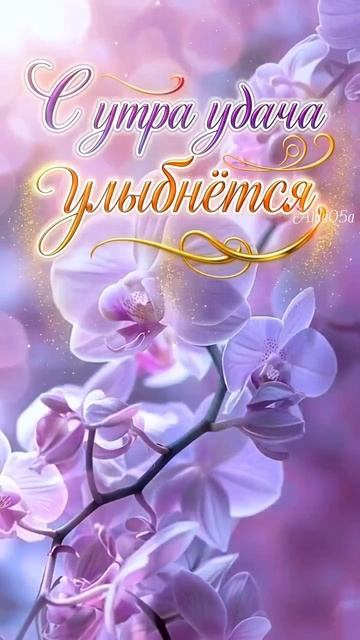 доброе утро