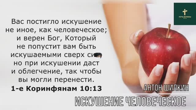 ИСКУШЕНИЕ ЧЕЛОВЕЧЕСКОЕ | Антон Шилкин