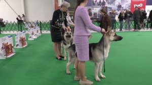 Сравнение класса юниоров