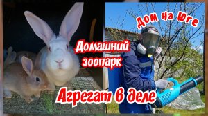 Дом на Юге.  Агрегат в деле, мой честный отзыв. Домашний зоопарк.