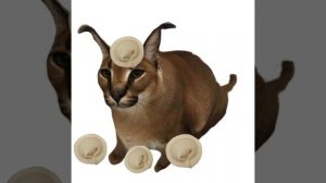 шлёпа «хорошие пельмени это очень очень вкусно»