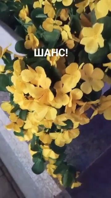 Астропрогноз