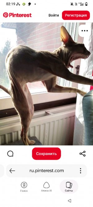 смотрим видио о ряльных и не ряльных сабытеях