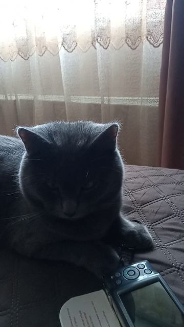 VID_20260426_130642 26.04.2026