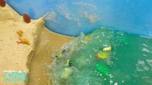 47. Top Secret Missile Silo Hit by Tsunami - Lego Dam Breach Experiment