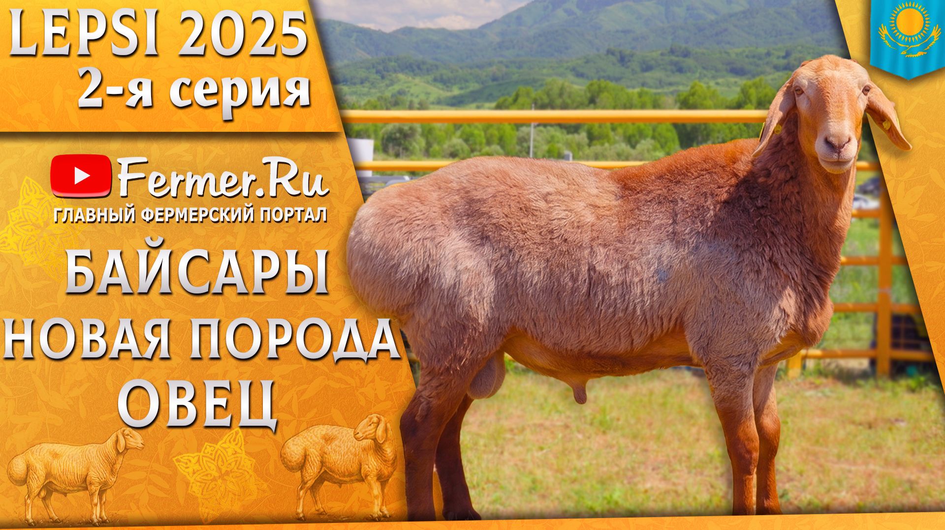 🐏Байсары - новая казахстанская порода овец мясосального направления. Международная выставка в Лепсы