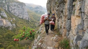 Жизнь семьи в горном районе. Сбор гранатов, рыбалка, выживание каждый день.