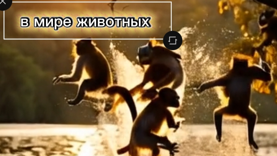 ЧТО СКРЫВАЕТ ДИКАЯ ПРИРОДА — РЕДКИЕ МОМЕНТЫ, КОТОРЫЕ ЗАХВАТЫВАЮТ 🐾