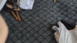 Покупки в апреле 2026г. Вторая часть.