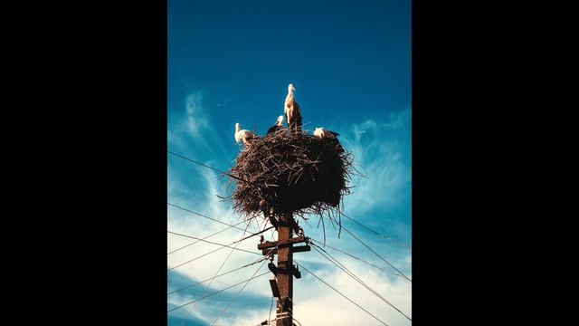 🎙️ Аудиозарисовка: «Над Зорино - между небом и домом»