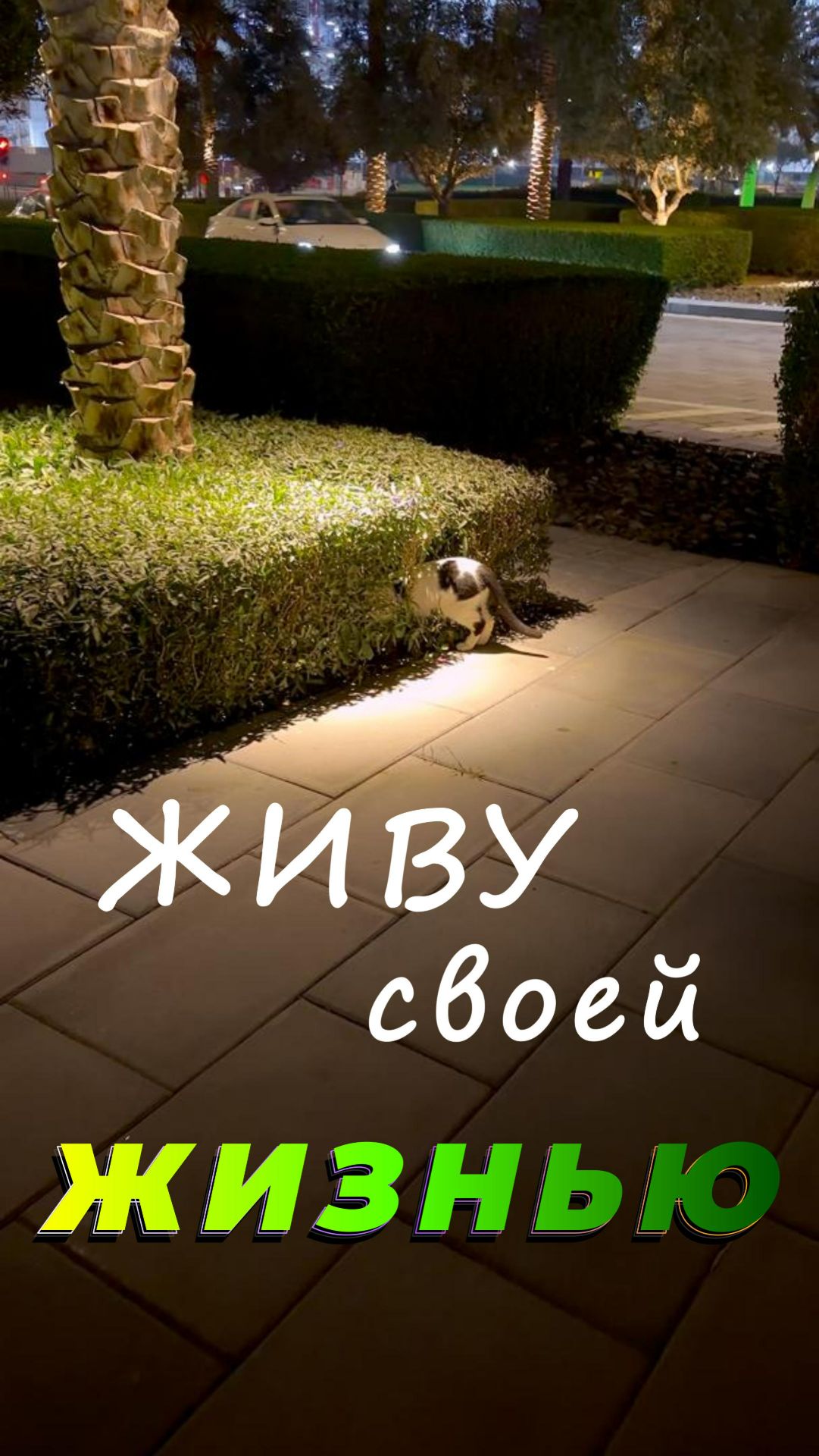 Живу своей жизнью