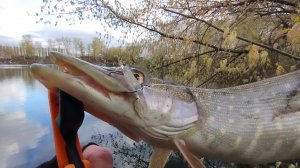 МОЙ ПОДХОД К ЛОВЛЕ ЩУКИ!ЛОВЛЯ ДЖИГОМ НА РАКА РЫБАЛКА ВЕСНОЙ