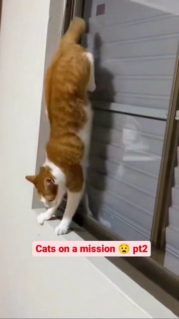 Миссия VPN 😂😁😅🔥💯