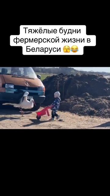 Видео от Департамент Вирусного Контента | ДВК