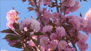 Категорически нельзя делать 27 апреля. День риска.