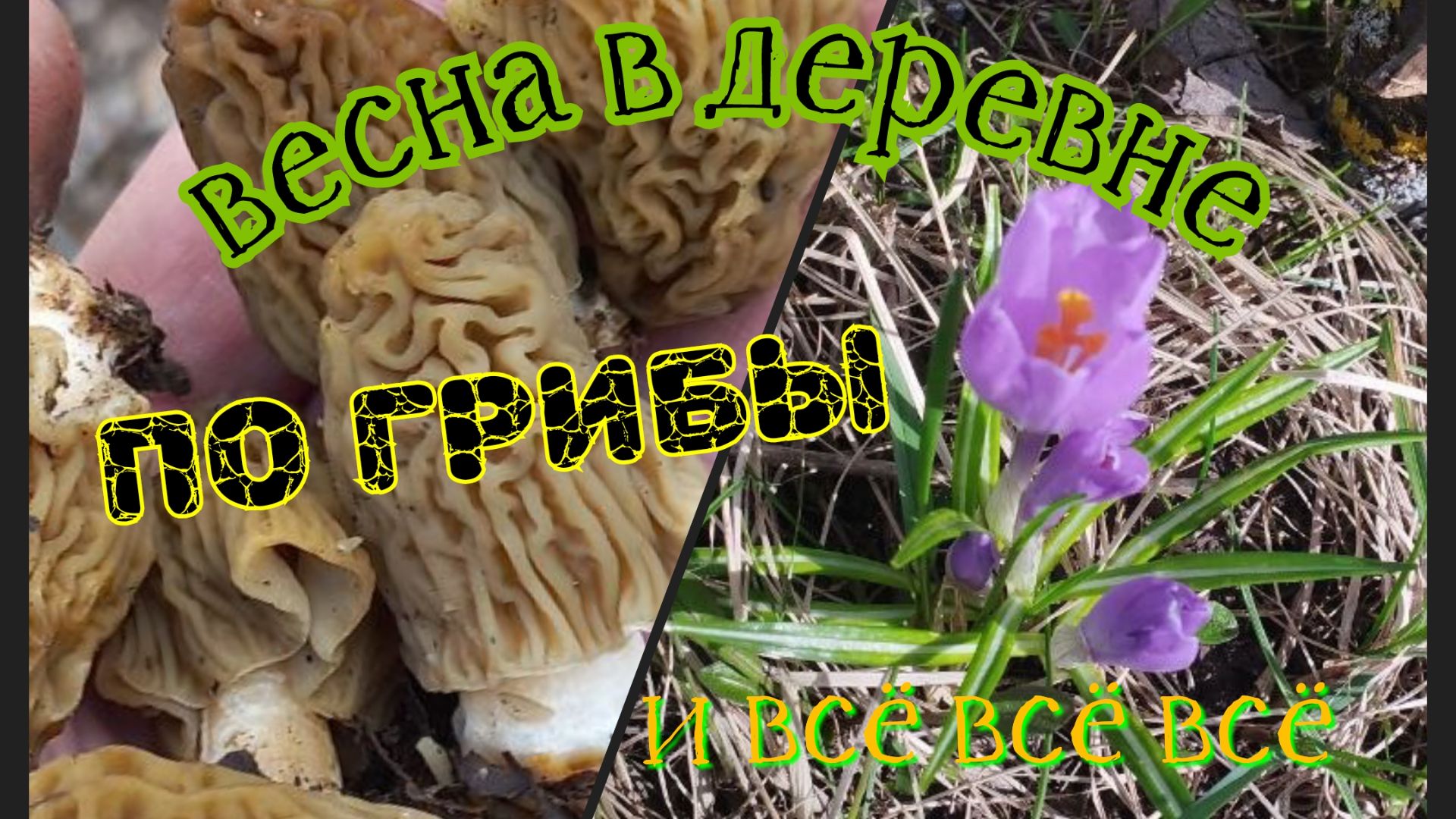 Весна, грибы, курятник,мангал.